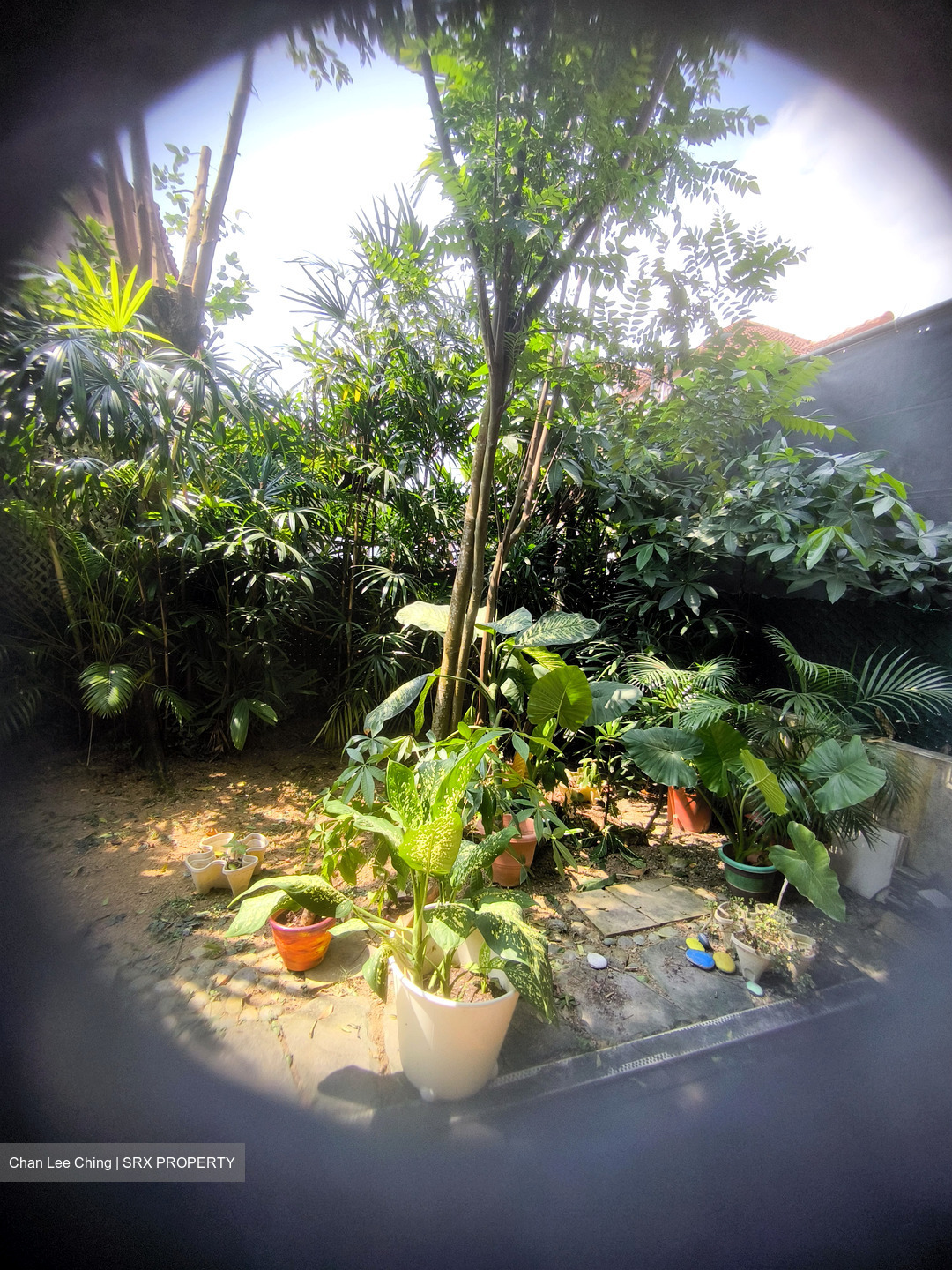 Capitol Park (D11), Semi-Detached #601547081